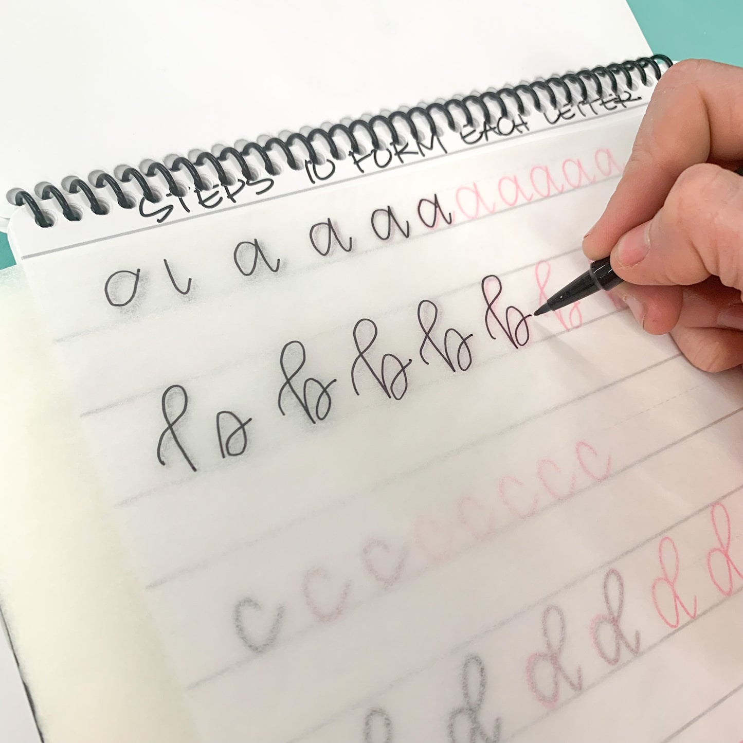 Hand Lettering Basics Workbook — Hardcopy or Digital