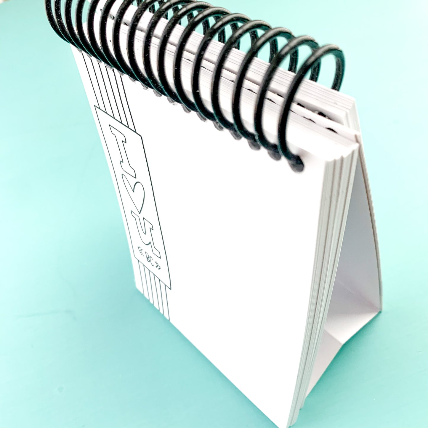 Flipbook - ILY Because {100 Reasons}