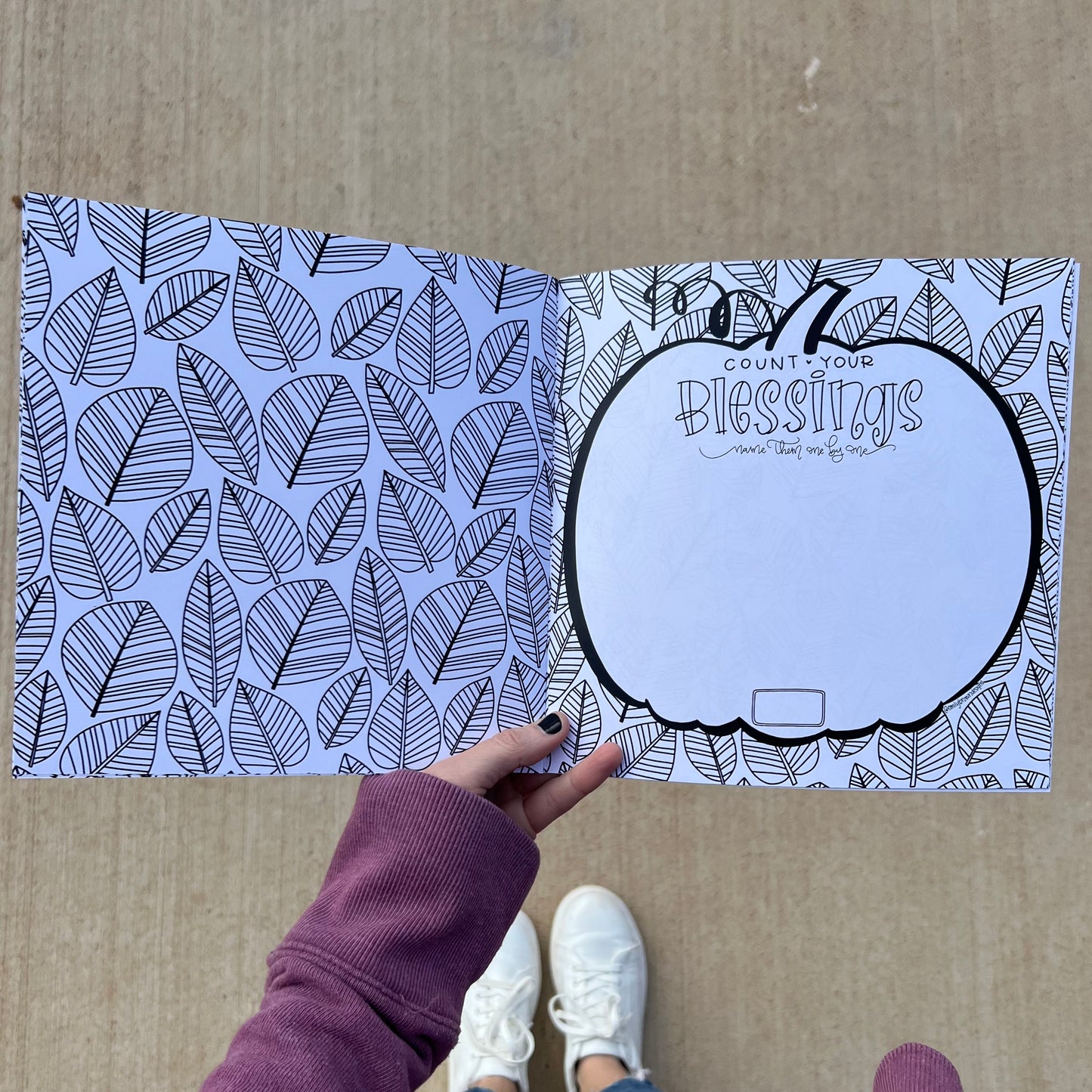 Crazy Thankful Book